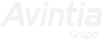 Grupo Avintia
